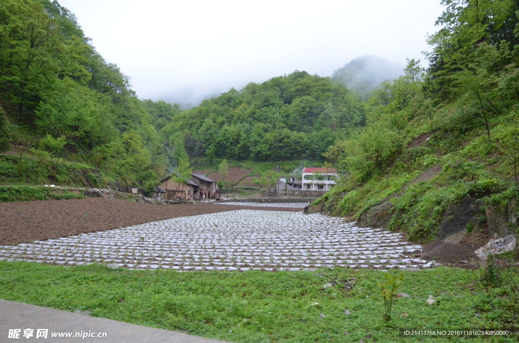农村风光