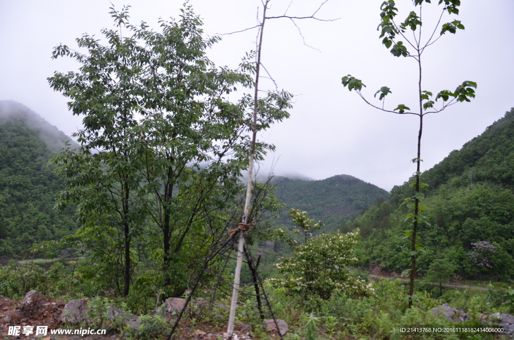 名山大川