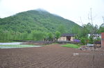 农村风光