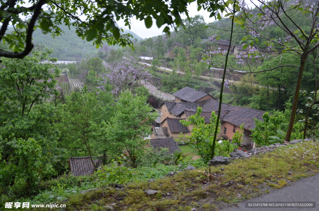农村风光