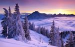 雪景