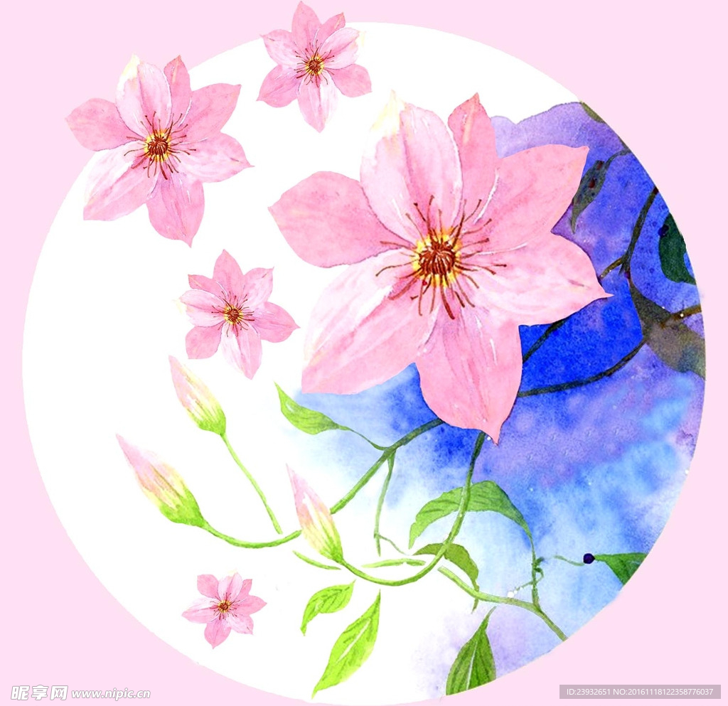 手绘花卉