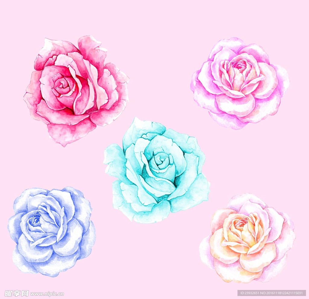 手绘花卉