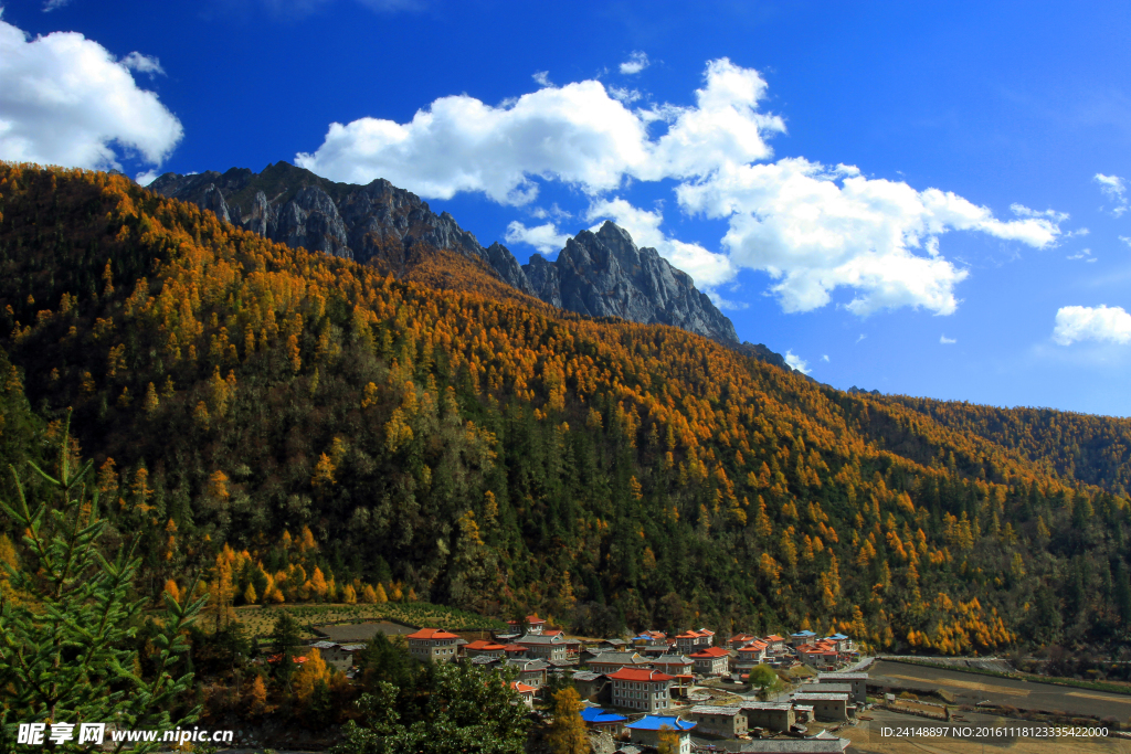 高原风景