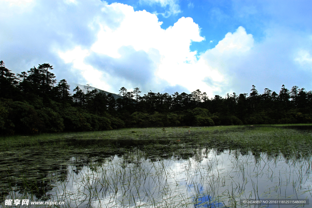 高原风景