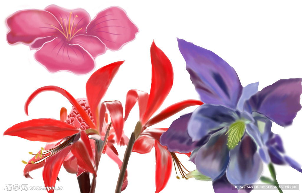 花草滕蔓