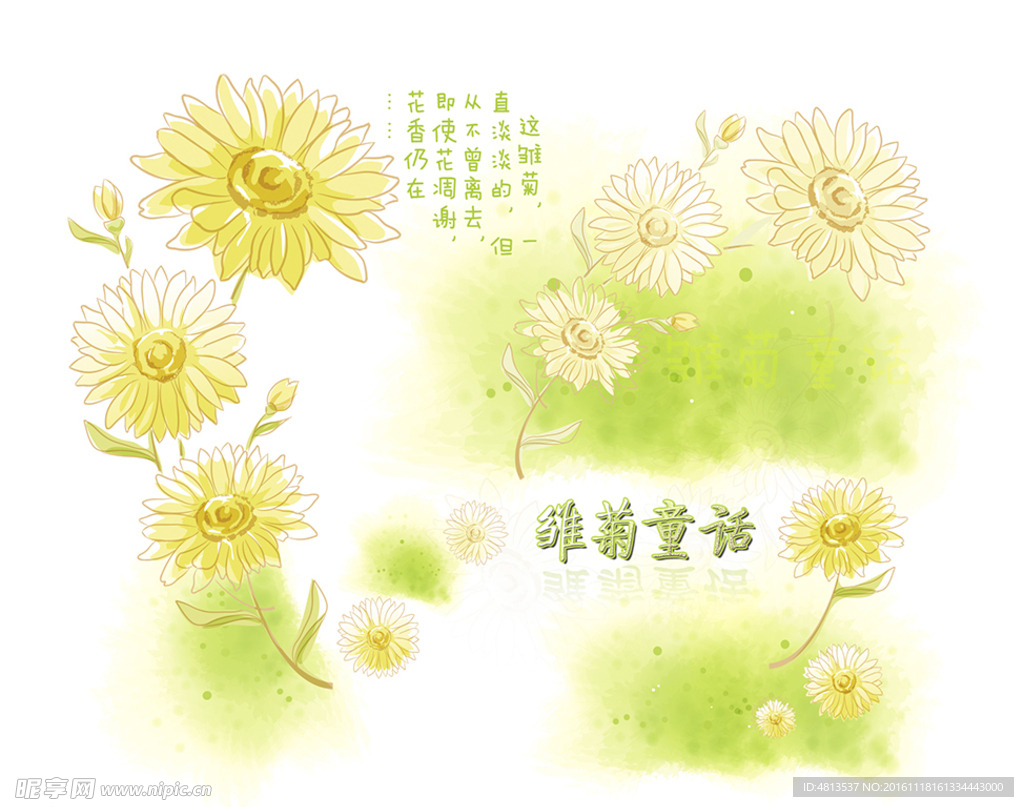 雏菊童话