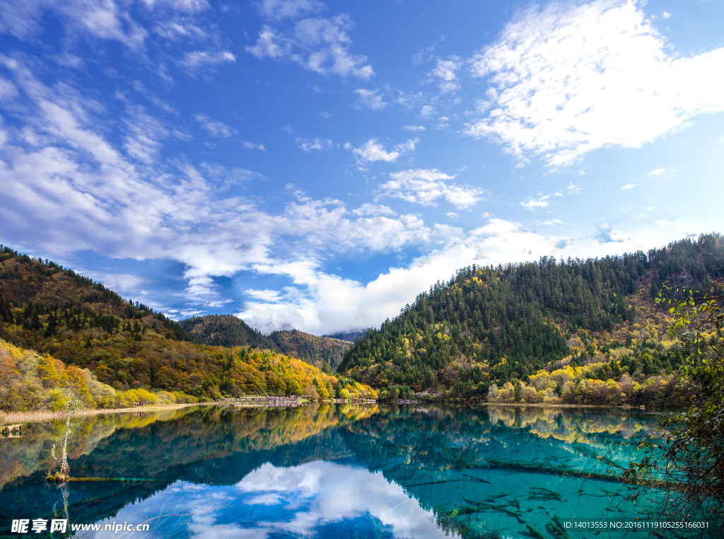 山林风景