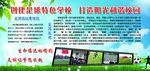 阳光体育 快乐你我