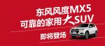 郑州日产 5重大礼 吊旗 SU
