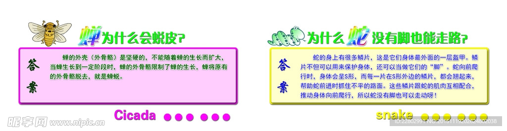 校园文化