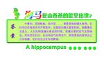 校园文化