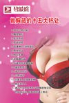 碧波庭  胸