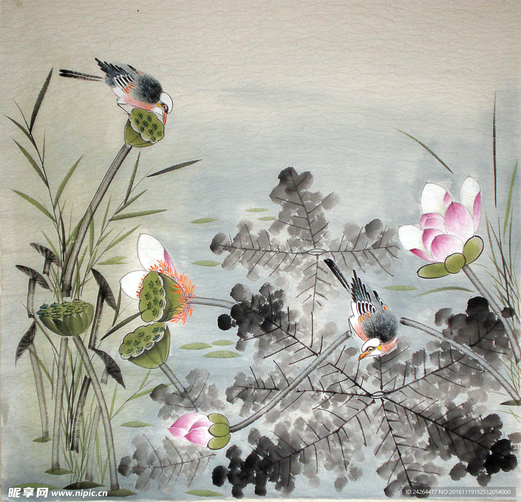 国画荷花