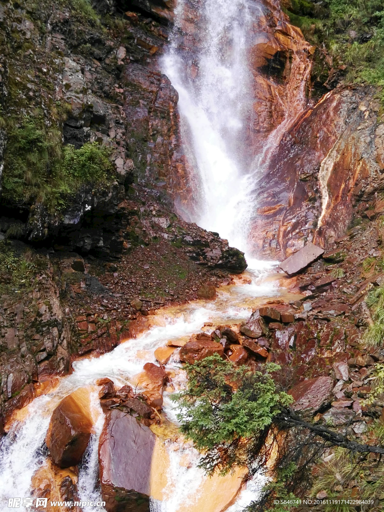 四姑娘山 红河溪谷 图片 风景