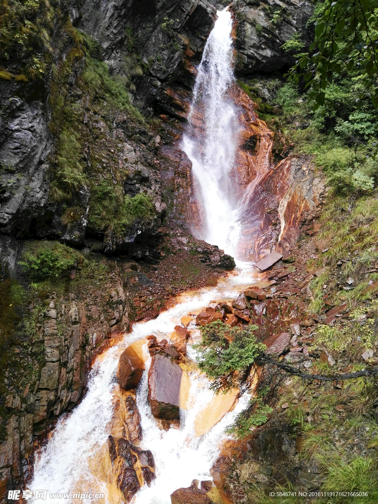 四姑娘山 红河溪谷 图片 风景