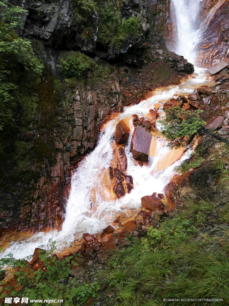 四姑娘山 红河溪谷 图片 风景