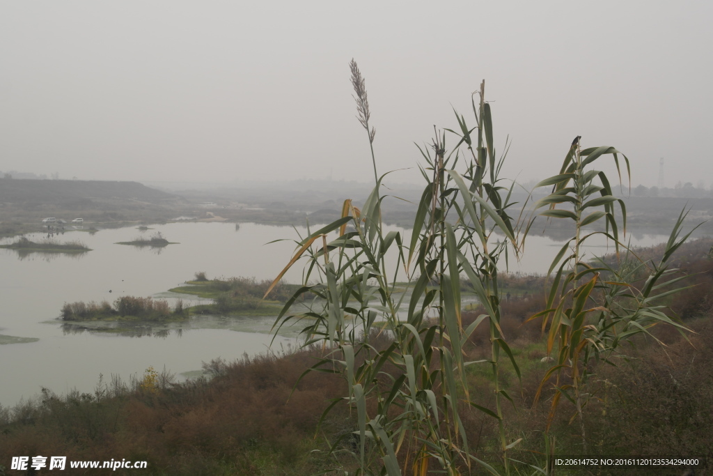 河道风采