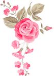 玫瑰花