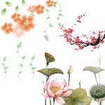 荷花 梅花 花朵