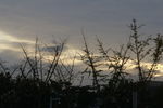 夕阳
