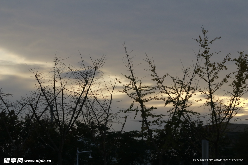 夕阳