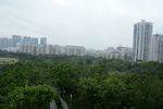 树林城市