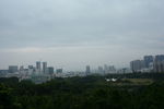 树林城市