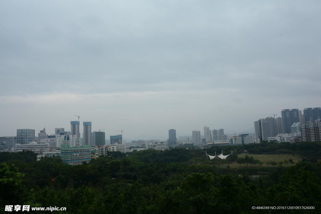树林城市