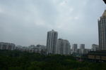 树林城市