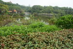 湖边风景
