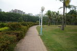 草坪 小路