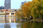 北京蓝色港湾湖景