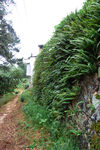 乡间小路