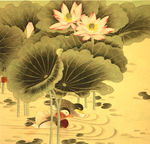 鸳鸯戏水  工笔莲花