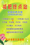 减肥终点站