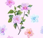 手绘花
