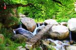 溪水图片