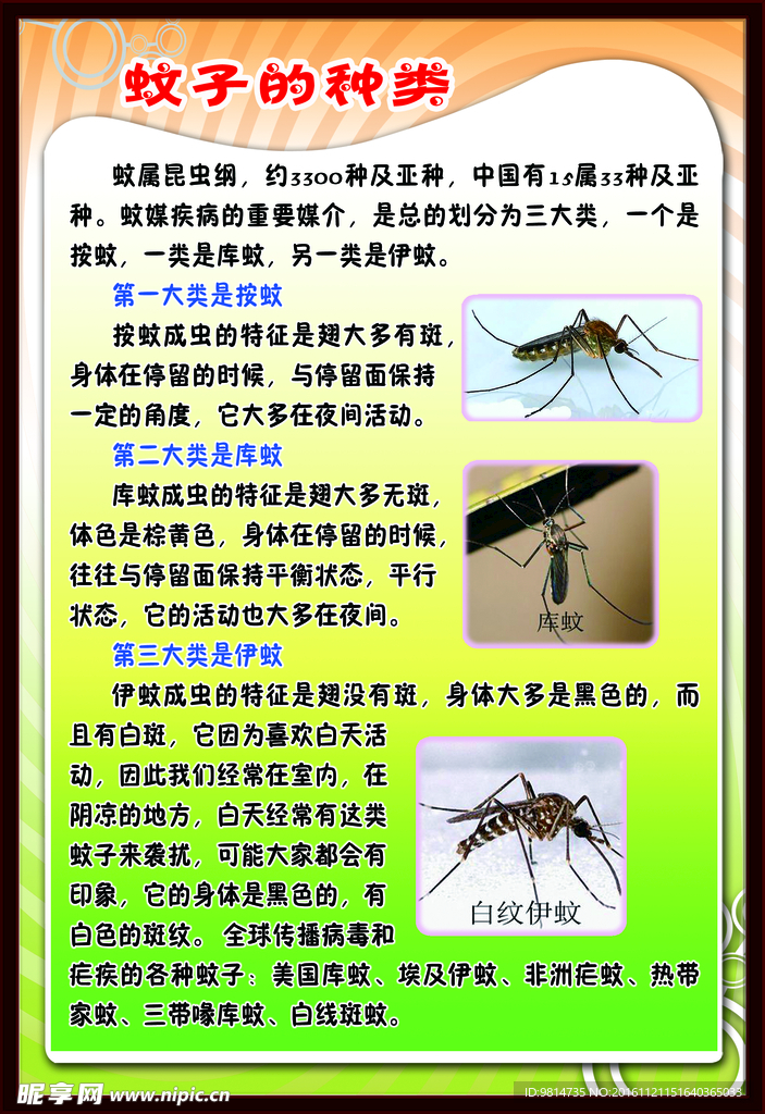 蚊子的种类