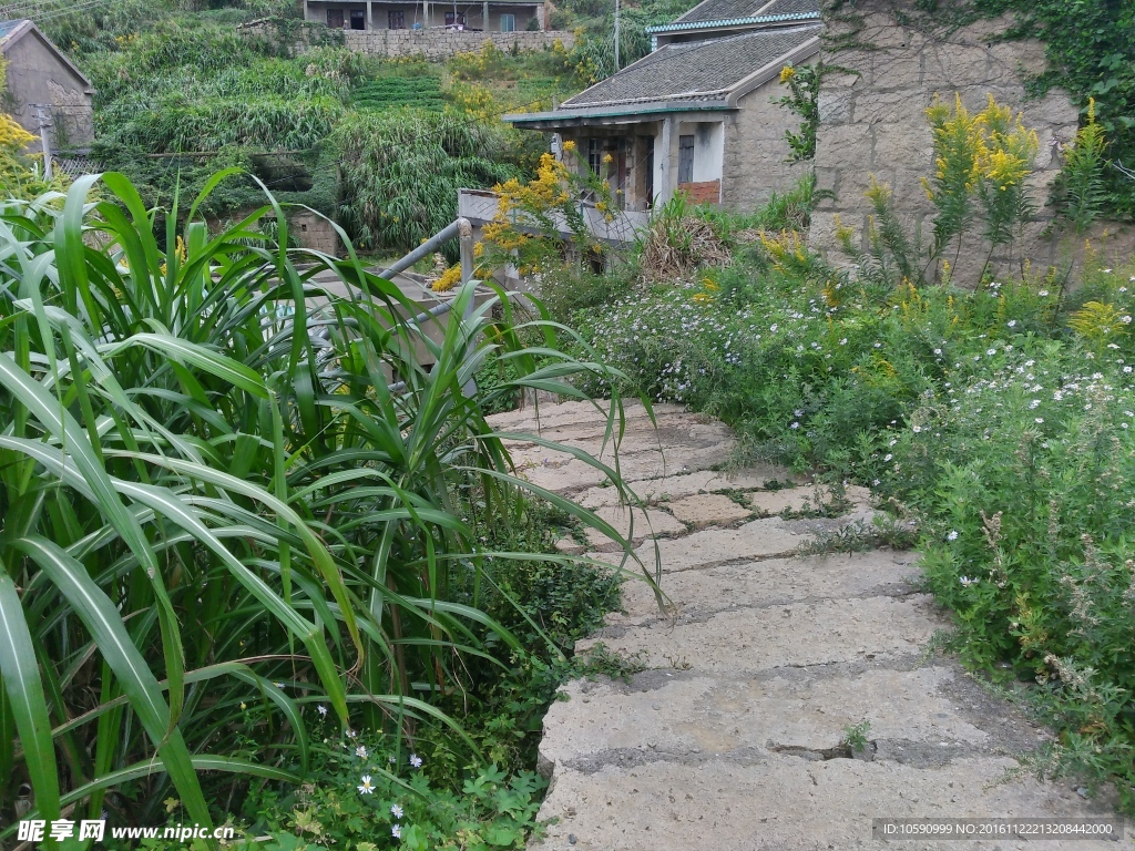 路边风景