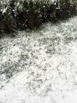 雪