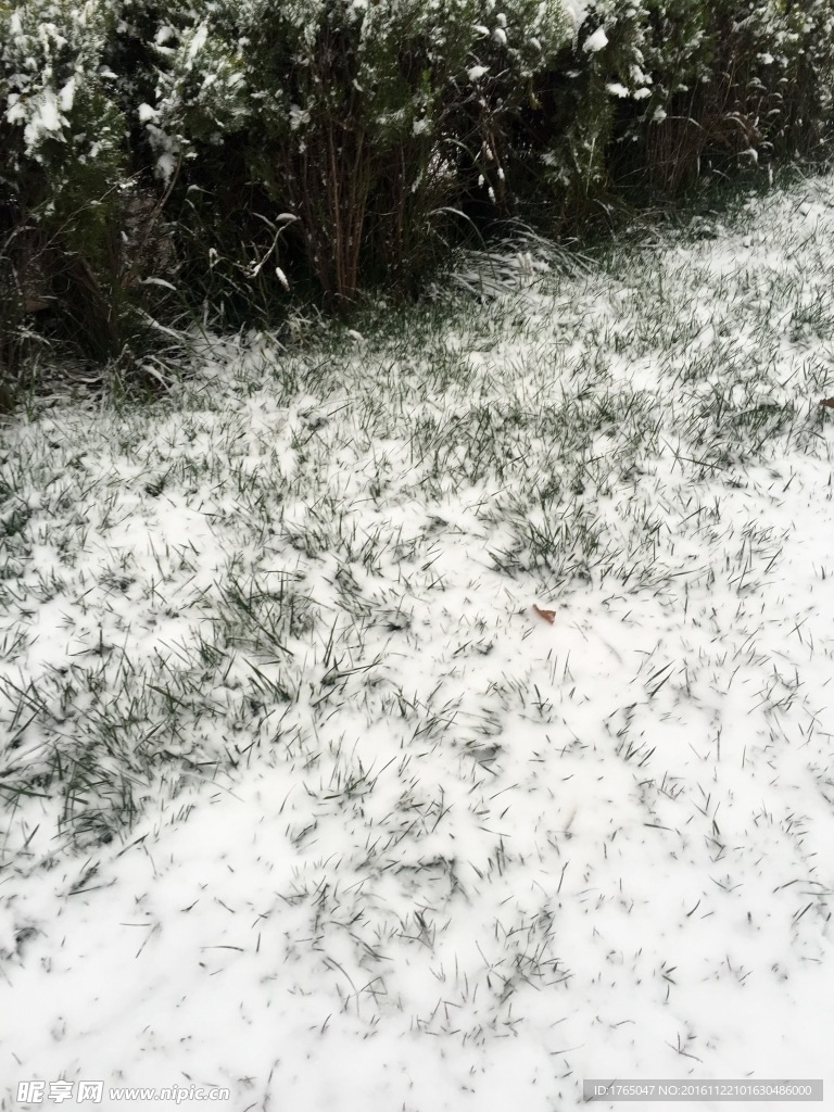 雪