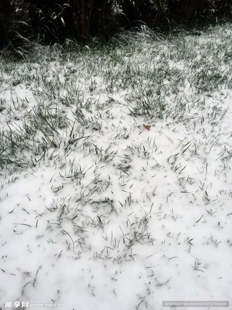 雪