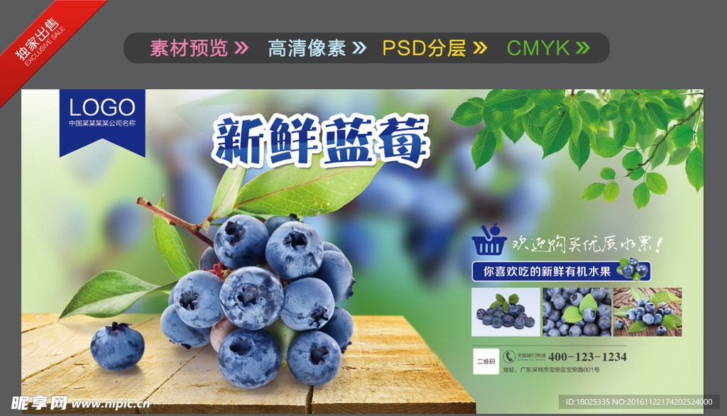 蓝莓海报 水果海报