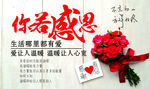 你若感恩