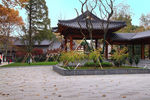 栖霞山红叶 栖霞古寺