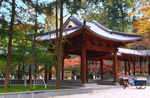 栖霞山红叶 栖霞古寺