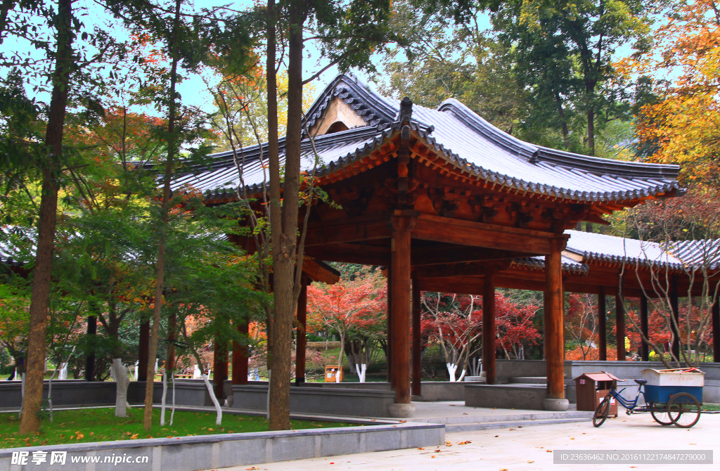 栖霞山红叶 栖霞古寺
