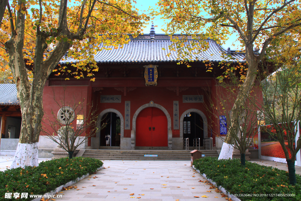 栖霞山红叶 栖霞古寺