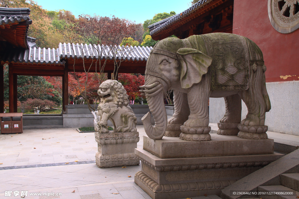 栖霞山红叶 栖霞古寺